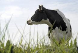 Lovitură pentru fermierii din România