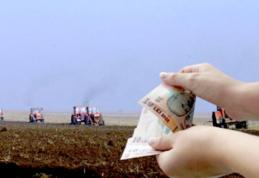 Plata avansurilor din subvenţii pentru fermieri înscrişi la APIA începe pe 16 octombrie 