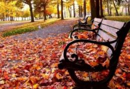 ANM: Încălzire a vremii după data de 30 octombrie, cu maxime de 16 grade la nivel naţional