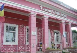 Teatru Vasilache : Gestionarea costumelor de carnaval ramase mici proprietarilor