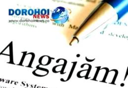 Post de fochist scos la concurs de Școala Gimnazială „Dimitrie Romanescu” Dorohoi