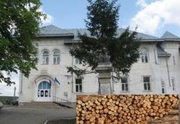 Liceul Teoretic „Anastasie Bașotă” organizează licitație de vînzare masă lemnoasă fasonată, specia gorun