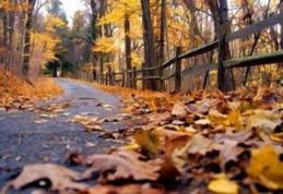 Cum va fi vremea de alegeri. Prognoza pentru toată țara