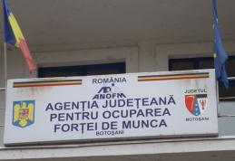 AJOFM Botoșani organizează seminar cu tema „Efectuarea stagiului pentru absolvenţii de învăţământ superior”