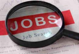 Locuri de muncă în rețeaua EURES. Vezi câte posturi pentru șoferi autocamion în Slovacia sunt disponibile