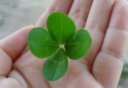 Eşti printre norocoşi? Top 5 zodii cu noroc la bani în 2015