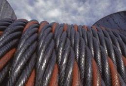 Autorii unui furt au fost arestaţi