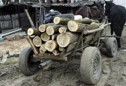 Pădurari bătuți măr de hoții de lemne pe care i-au prins la furat