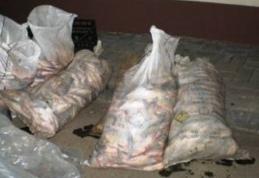 Saci cu peşte ilegal depistaţi de poliţiştii de frontieră dorohoieni