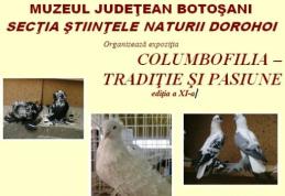„Columbofilia - tradiție și pasiune”, ediția a XI-a la Muzeul de Știintele Naturii Dorohoi