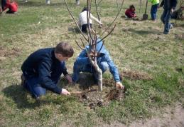 România verde… Sărbătoarea sădirii arborilor