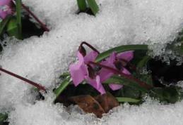Meteorologii anunţă două coduri galbene! Va ninge abundent în aproape toată ţara
