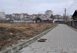 Primim la redacţie: Realitate sau Pamflet - FOTO