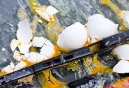 Se aruncă ouă pe parbriz. Ultima metodă folosită de tâlhari în trafic. Ce să faci ca să scapi cu bine