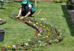 O firmă din Dorohoi a câştigat licitaţia privind întreţinerea spaţiilor verzi din municipiul Botoşani