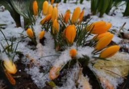 Vremea în week-end! Ploi, lapoviţă şi ninsori