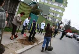 Prostituate obligate să măture străzile şi să planteze flori pentru a scăpa de amenzi. Vezi unde?