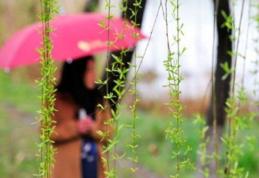 Vremea de Florii şi Paşte. Precipitaţii mixte în următoarele două săptămâni