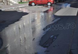 Dorohoieni în pragul disperării! Străzi din cartierul Plevna, invadate de un „râu” de dejecții - FOTO