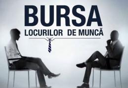 Vezi lista celor 228 locuri de muncă anunţate până la această dată la Bursa Generală a Locurilor de Muncă din 24 aprilie