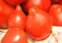 Cum arată roşiile pe care sub nicio formă să nu le cumperi