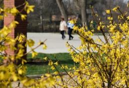 Vremea se schimbă radical! Temperaturi între 23 și 33 de grade Celsius. De joi, încep ploile și o răcire a vremii