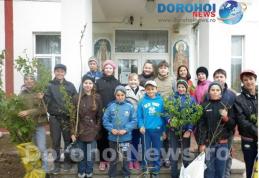 Acțiune de ecologizare: „Plantează un pom pentru viitorul verde al Ibăneștiului” - FOTO