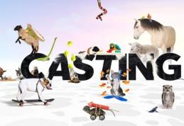 Antena 1 pregăteşte o mare surpriză Pro TV-ului. Plănuieşte un show prin care să rupă audienţele