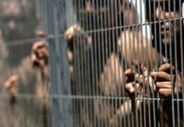 Confruntări violente într-o închisoare din Irak. 40 de terorişti au evadat