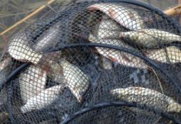 Dosare penale pentru braconaj piscicol pe râul Prut