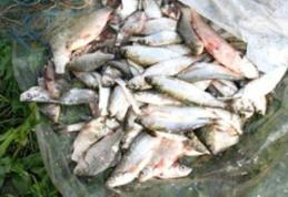 Peştele fără documente i-a adus un dosar penal unui tânăr de 20 de ani