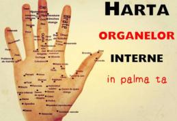 Harta mâinii tale. Unde să îți masezi palma ca să scapi de durere