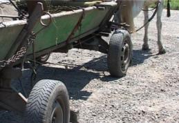 Minoră agăţată şi târâtă de o căruţă, la Hilişeu Horia
