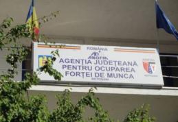 Peste 6 mii de persoane se află în căutarea unui loc de muncă în județul Botoșani