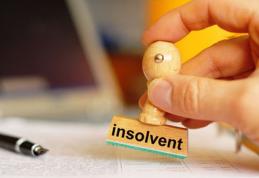 Claudia Țapardel: Cred că legea insolvenței persoanelor fizice va ajuta foarte multe familii din România 