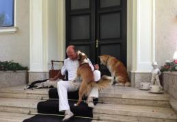 Traian Băsescu, obligat să se mute din nou. Într-o săptămână trebuie să plece de la Scroviştea