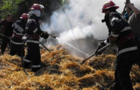 Tone de furaje distruse în două incendii