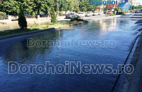 Ne-au invadat dejecțiile: Peisaj dezolant și miros insuportabil pe Bulevardul Victoriei din Dorohoi - FOTO