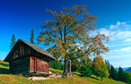 Europarlamentarul Claudia Țapardel a lansat campania online VacantainRomania