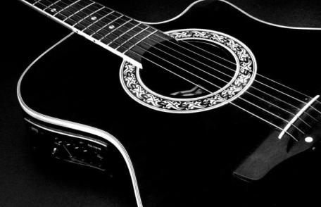 Festivalul naţional de muzică folk “Nord-Est Folk”, Ediţia I, Dorohoi, 14-15 mai 2011