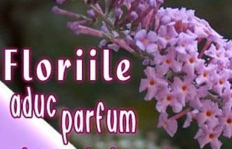 Floriile sau Duminica Floriilor reprezinta celebrarea intrarii Domnului Iisus Hristos in Ierusalim