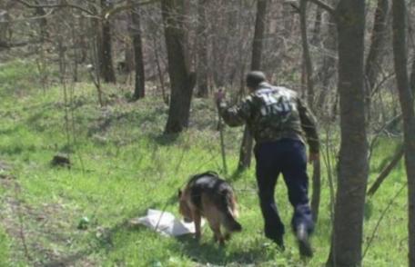 Alertă maximă după ce o copilă de doi ani şi jumătate din comuna Lozna a dispărut în pădure