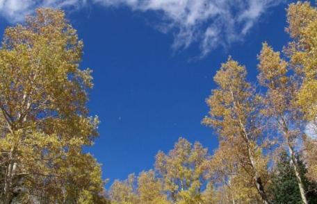 Vremea se schimbă radical, diferenţe de peste 20 de grade de la o săptămână la alta