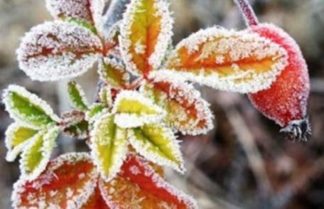 Val de aer polar peste România. Vremea se schimbă radical, se anunţă lapoviţă şi ninsoare