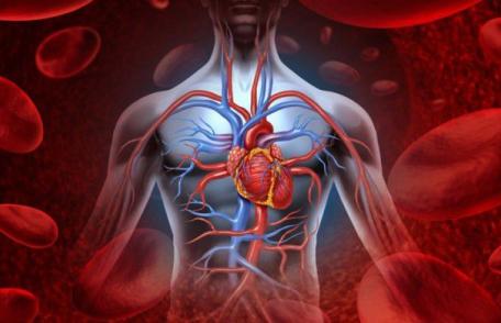 Organismul tău strigă dupa ajutor! Cele 5 semne evidente că ai deficit de zinc