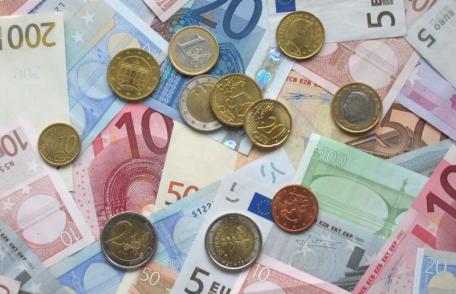 Moneda euro ar putea fi adoptată la 1 ianuarie 2015, dar va circula în paralel cu leul până în decembrie