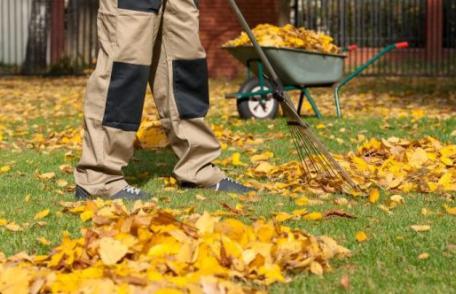 Primăria Municipiului Dorohoi atenționează: „Arderea frunzelor, un pericol pentru cei din jur”