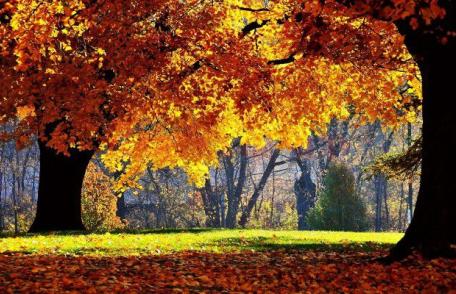 Prognoza meteo pentru joi, vineri și sâmbătă