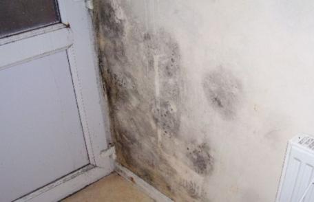 Scapă de mucegai în mod natural! Soluţia care face minuni