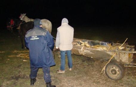 Ţigări de contrabandă depistate ascunse într-o cărută, sub coceni - FOTO